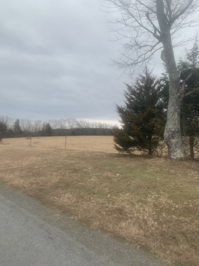 walking near me in Guy City Park in winter