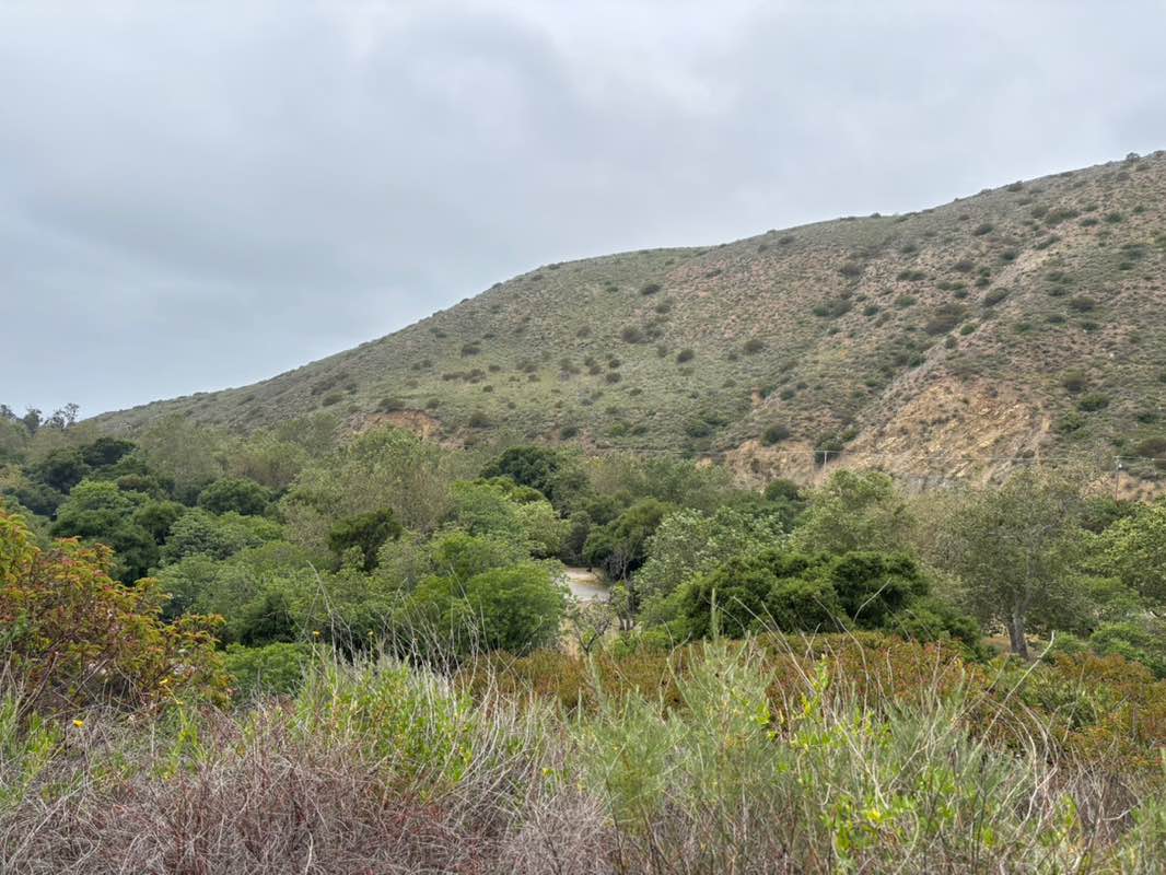walking near me in Leo Carrillo State Park in spring