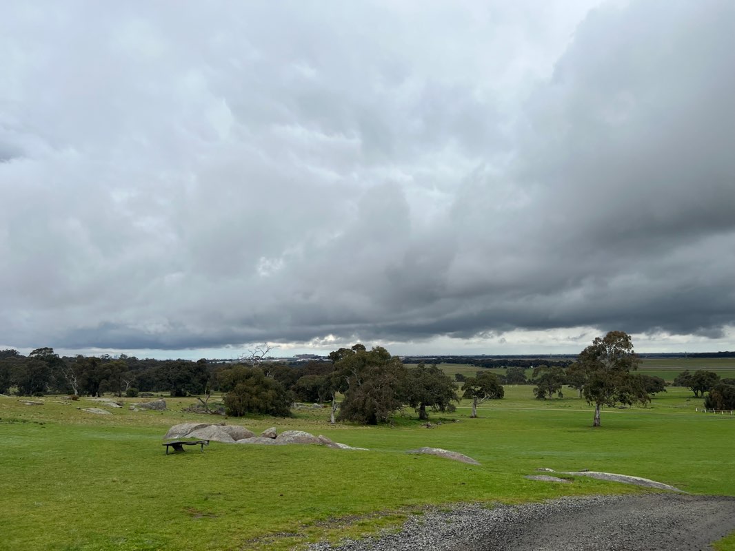 walking near me in Woodlands Historic Park in summer
