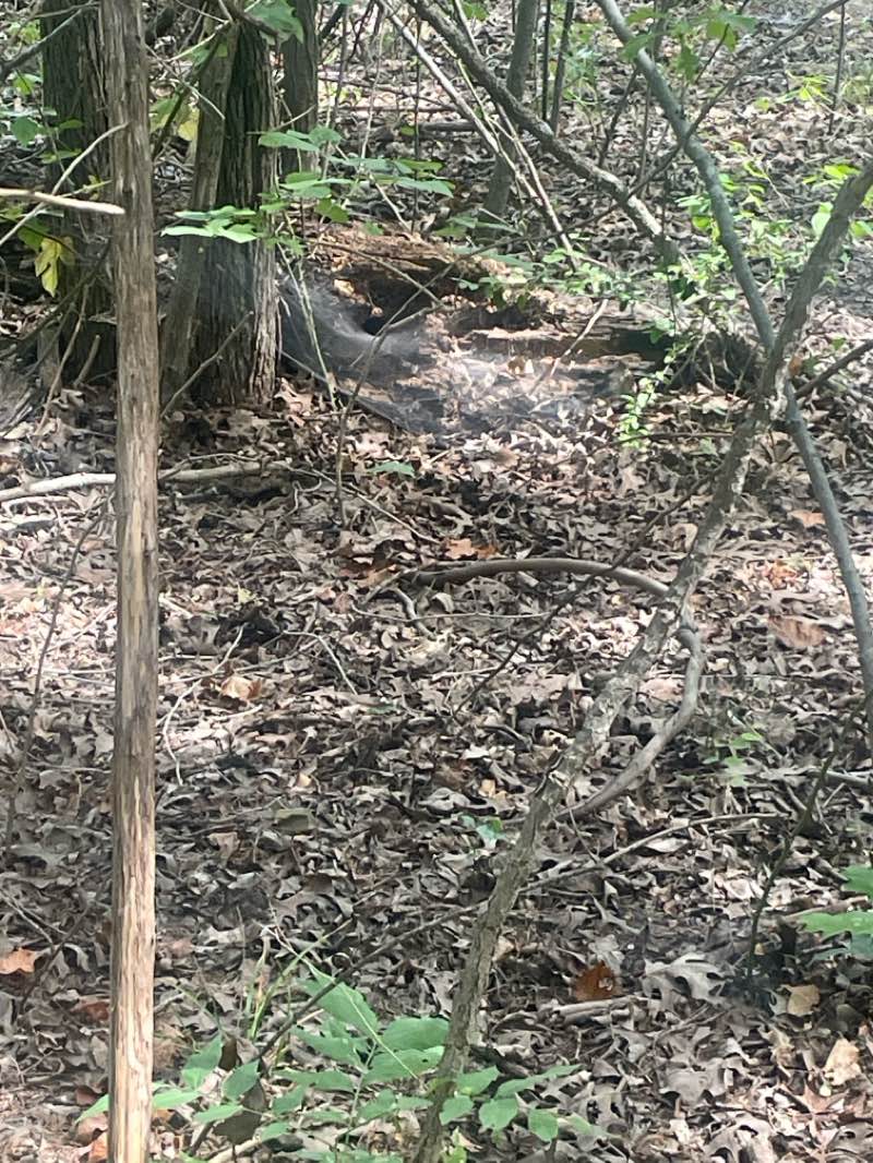 walking near me in Spring Creek Forest Preserve Park in winter