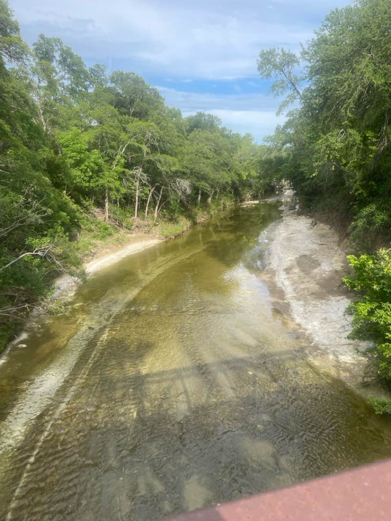 walking near me in Spring Creek Nature Area in summer