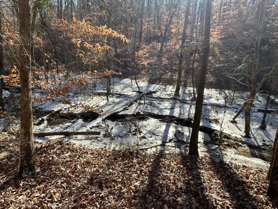 walking near me in Latta Place in winter