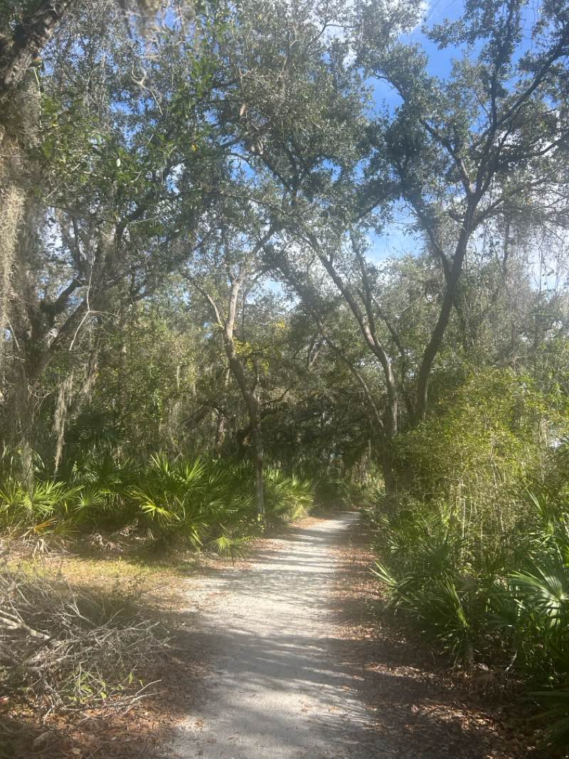 walking near me in Greenbrook Adventure Park in winter