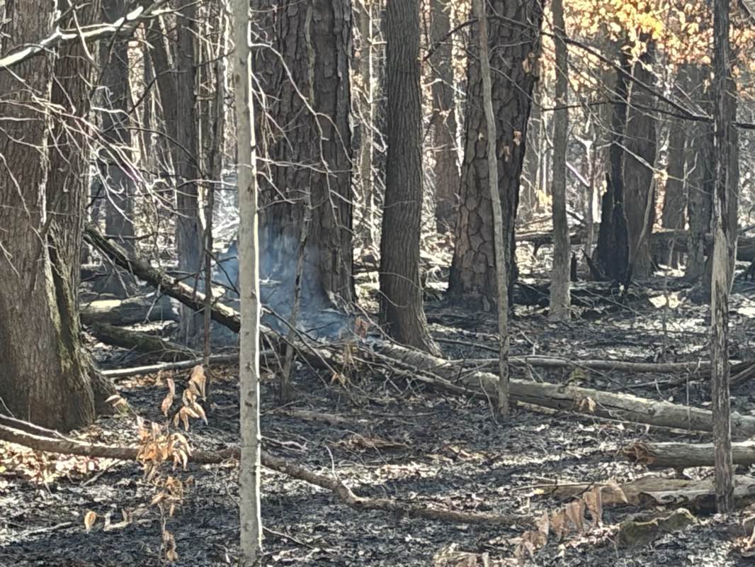 walking near me in Latta Place in winter