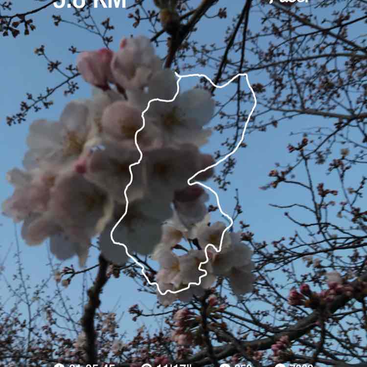 光 post 1