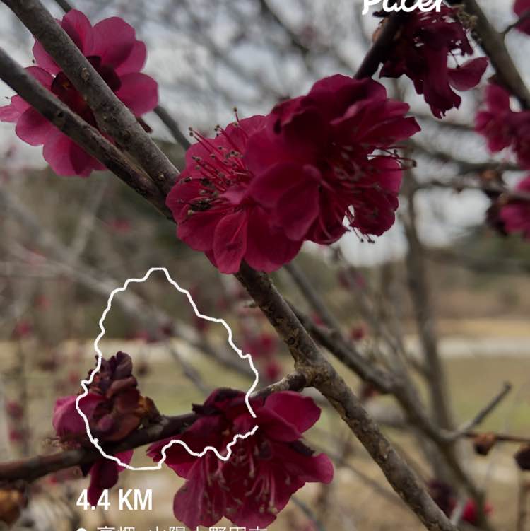 光 post 1