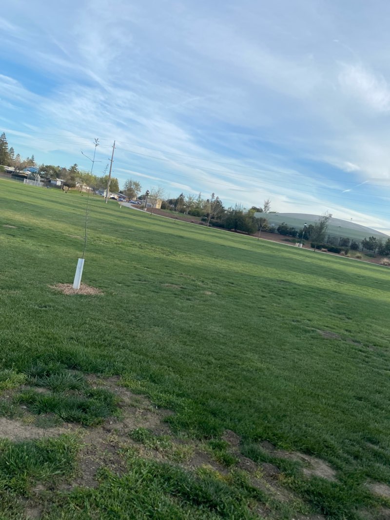 walking near me in Dave Douglass Park ("The Holding Ponds") in winter