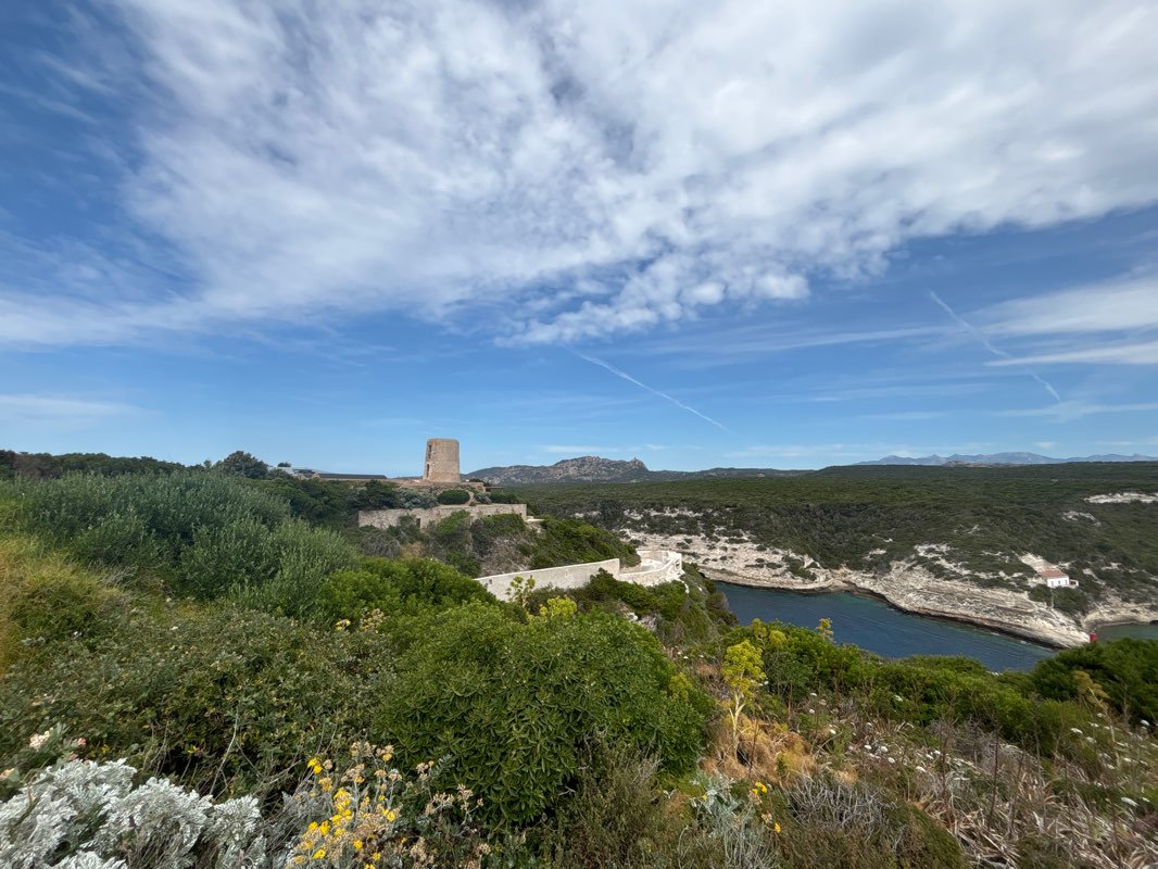 walking near me in Jardin Carotola in winter