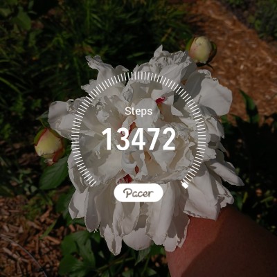 stefbutterfly🌷🌞📸🦋 post 1