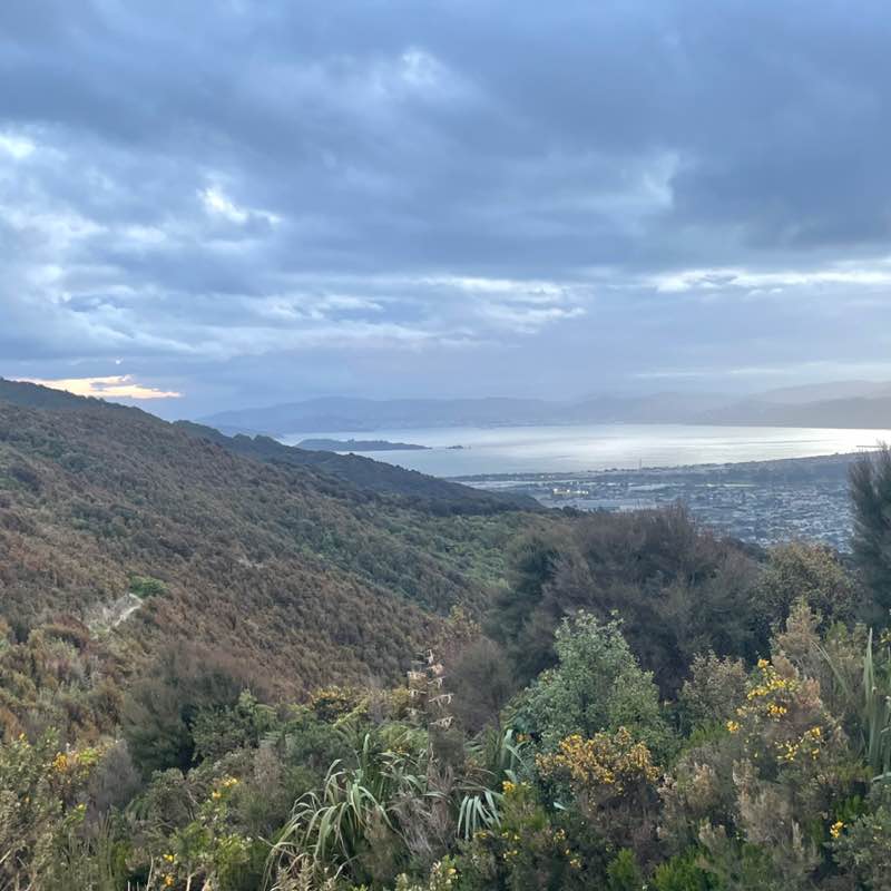 john.vanwoerkom post 1