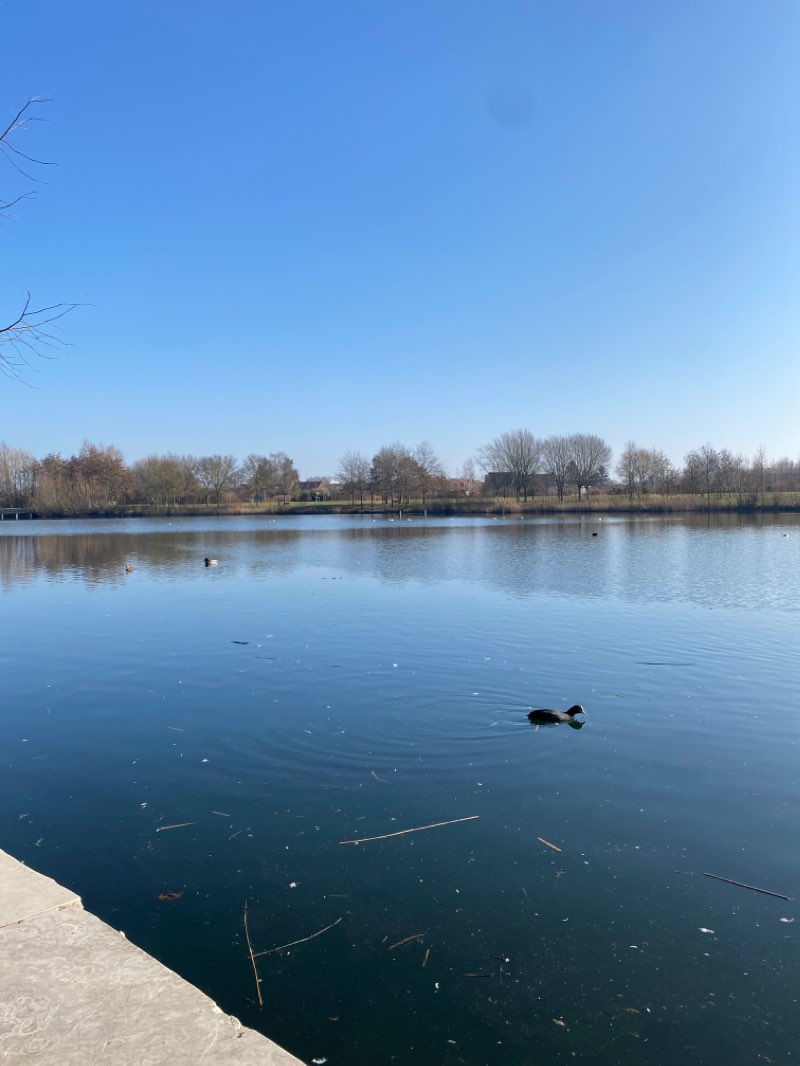 walking near me in Parc Jacques Vernier in winter