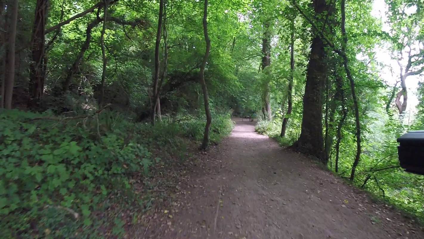 walking near me in Bedford Field in summer