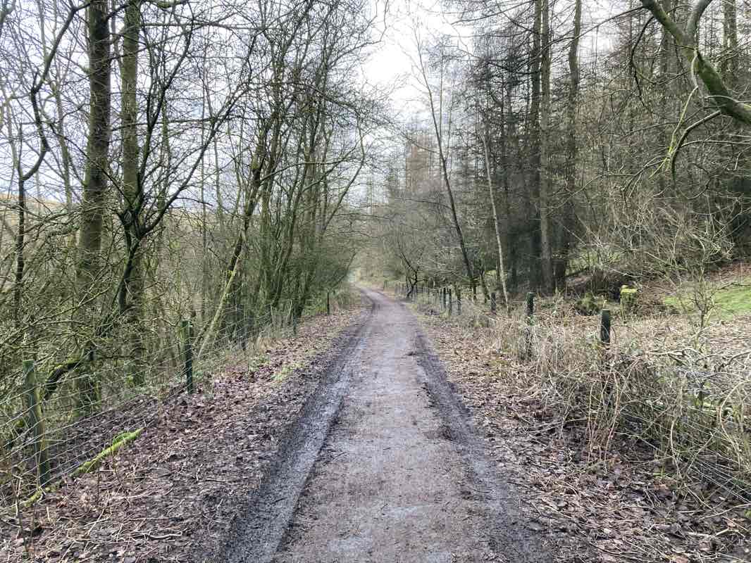 walking near me in Stubbylee Park in winter