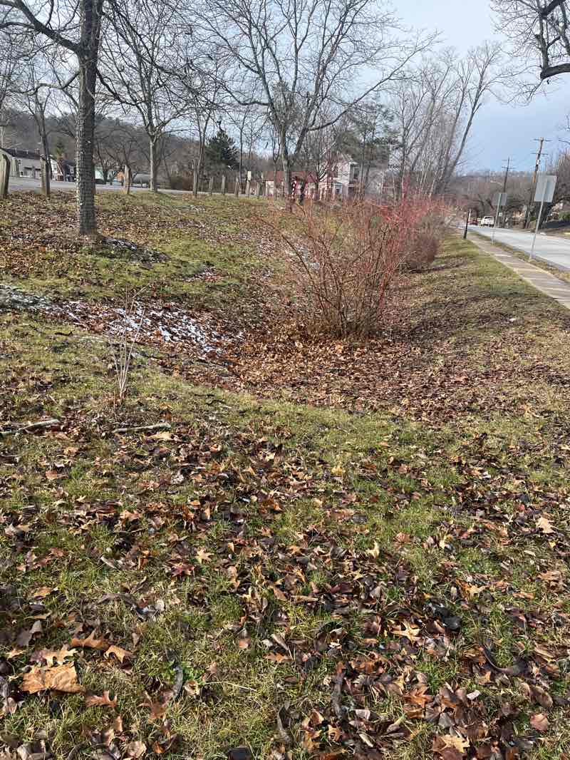 walking near me in Crafton Park Complex in winter