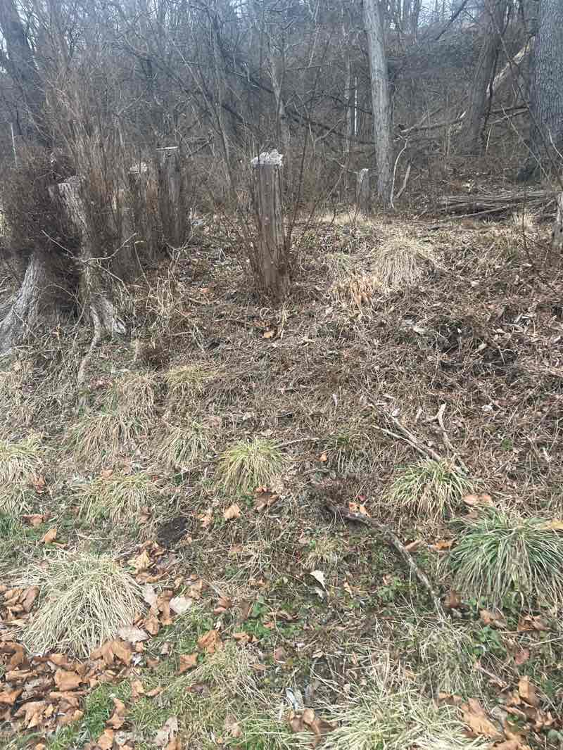walking near me in Foster Avenue Park in winter