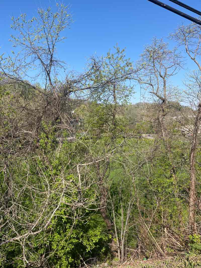 walking near me in Groveton Park in spring