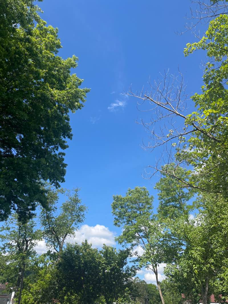 walking near me in Crafton Park Complex in spring