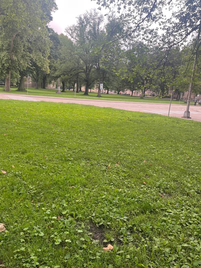 walking near me in West Park in summer