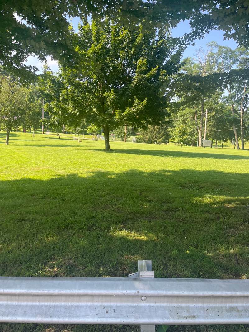 walking near me in Crafton Park Complex in summer