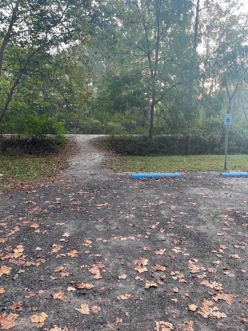 walking near me in Bates Park in autumn