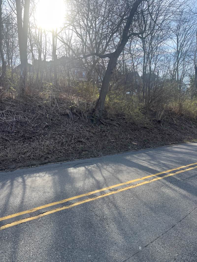 walking near me in Clearview Park Complex in spring