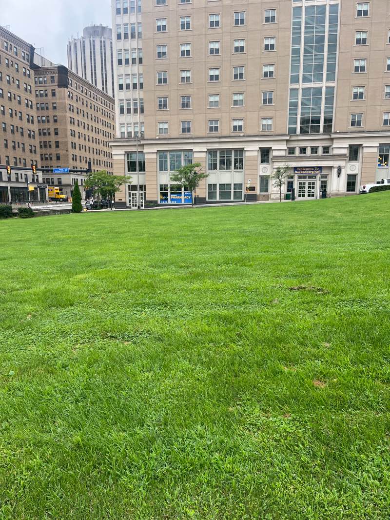 walking near me in Soldiers & Sailors Lawn in summer