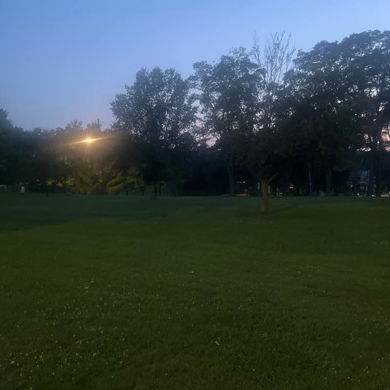 TeakD6 post 1