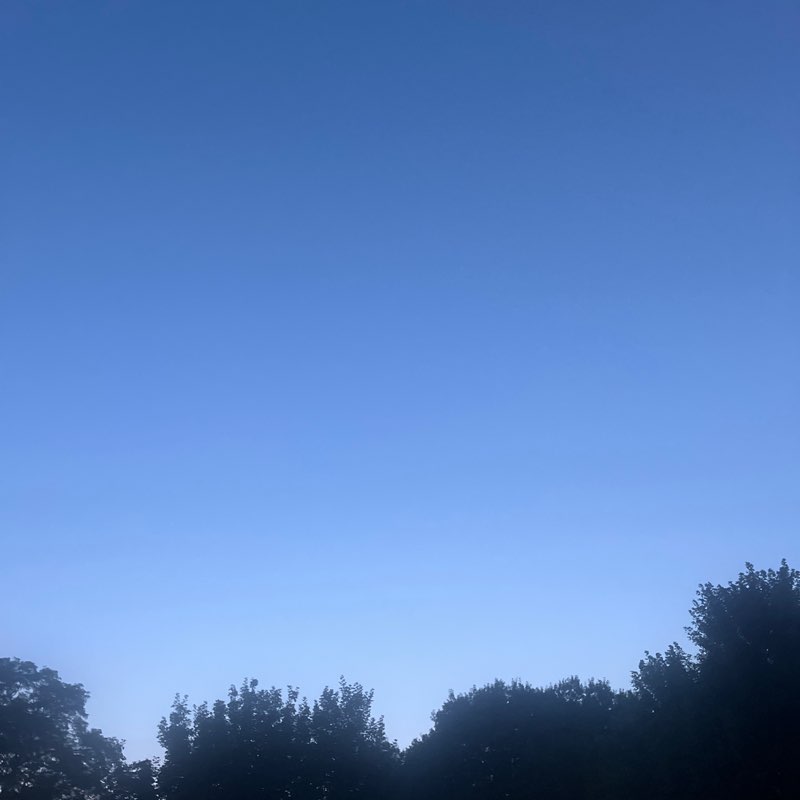 TeakD6 post 3