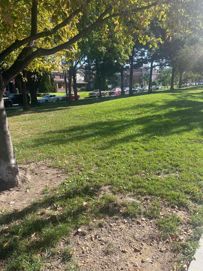walking near me in Friendship Park in autumn