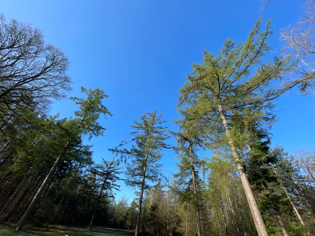 walking near me in De Plantage in winter