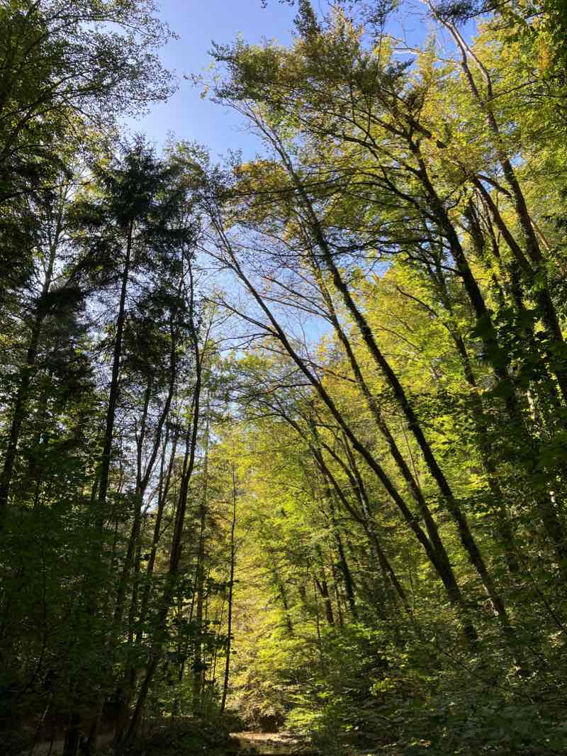 walking near me in Horn in winter