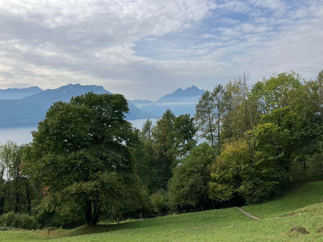 walking near me in Strandbad Lido in winter