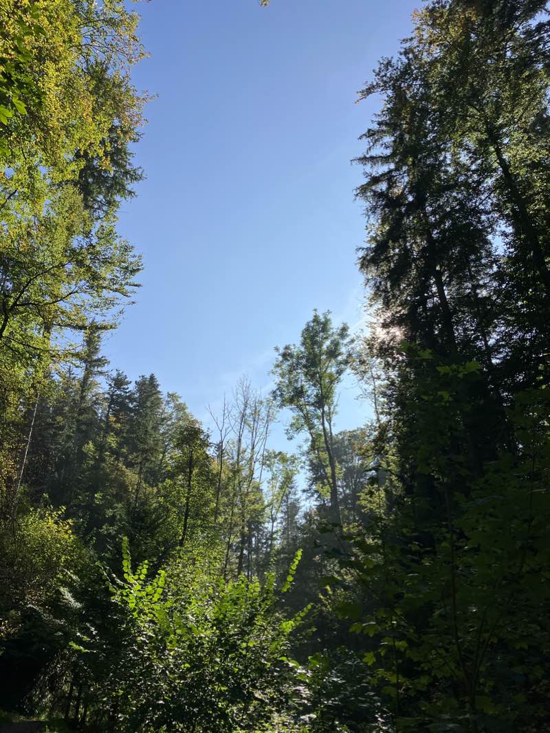 walking near me in Ermitage Anlage in winter