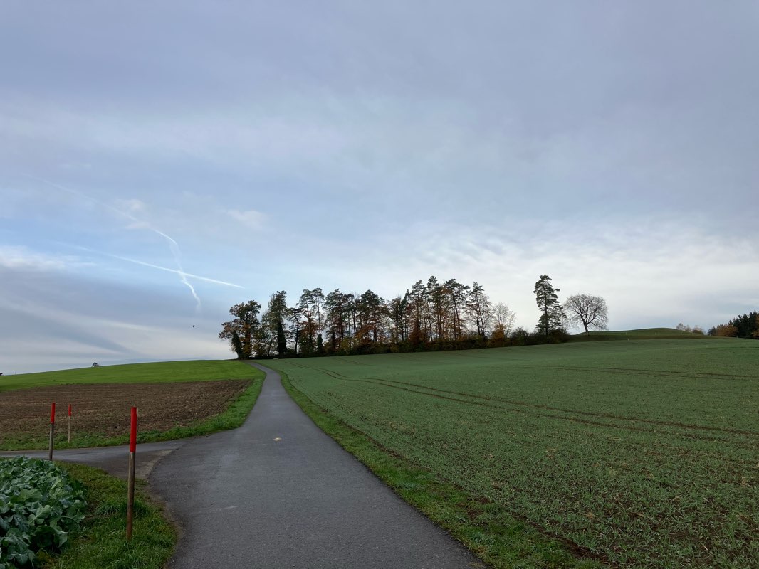 walking near me in Büelpark in winter