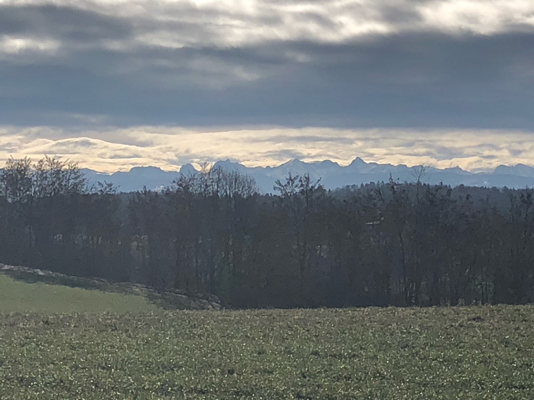 walking near me in Brünnengut in winter
