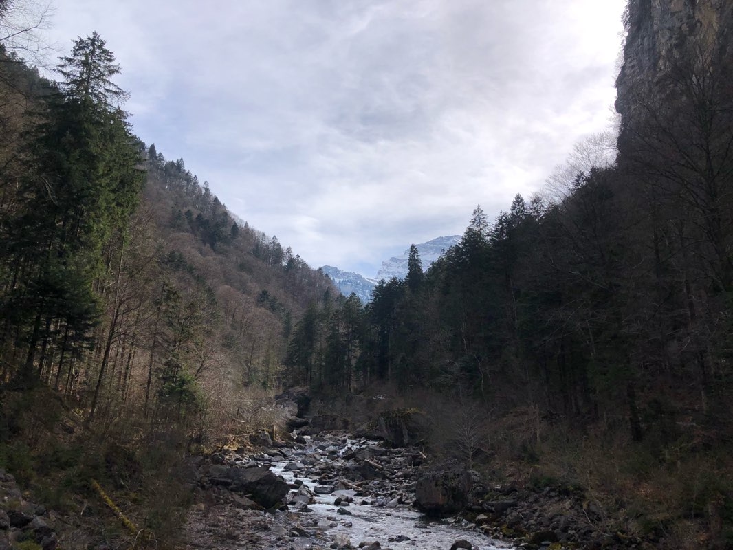 walking near me in Strandbad Tribschen in winter