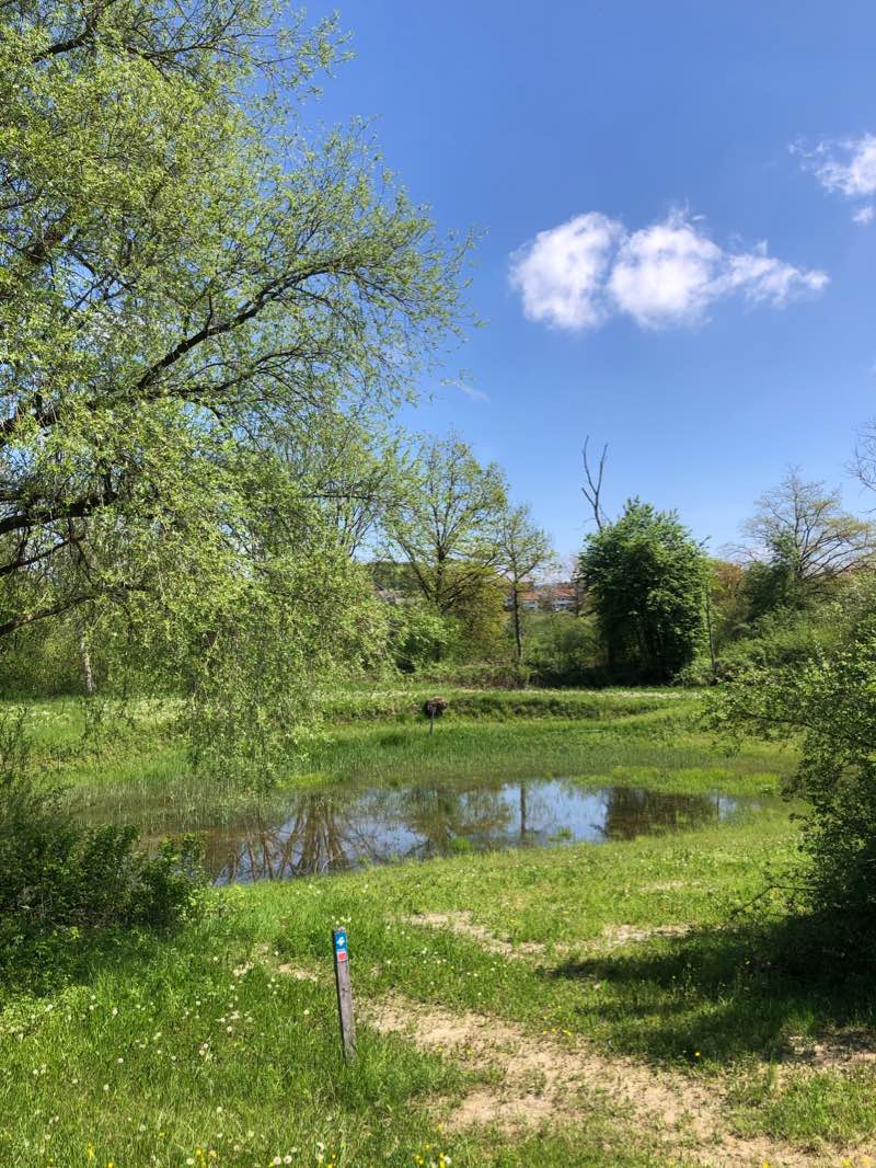 walking near me in Lorzenpark in winter