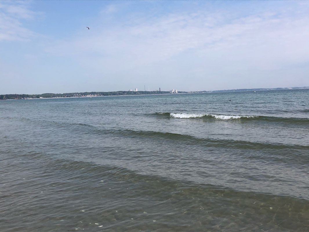 walking near me in Brügmanngarten in winter