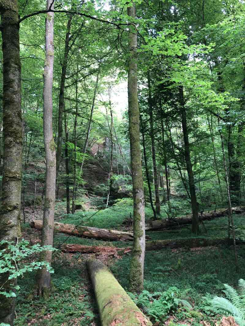 walking near me in Hinder der Chile in winter