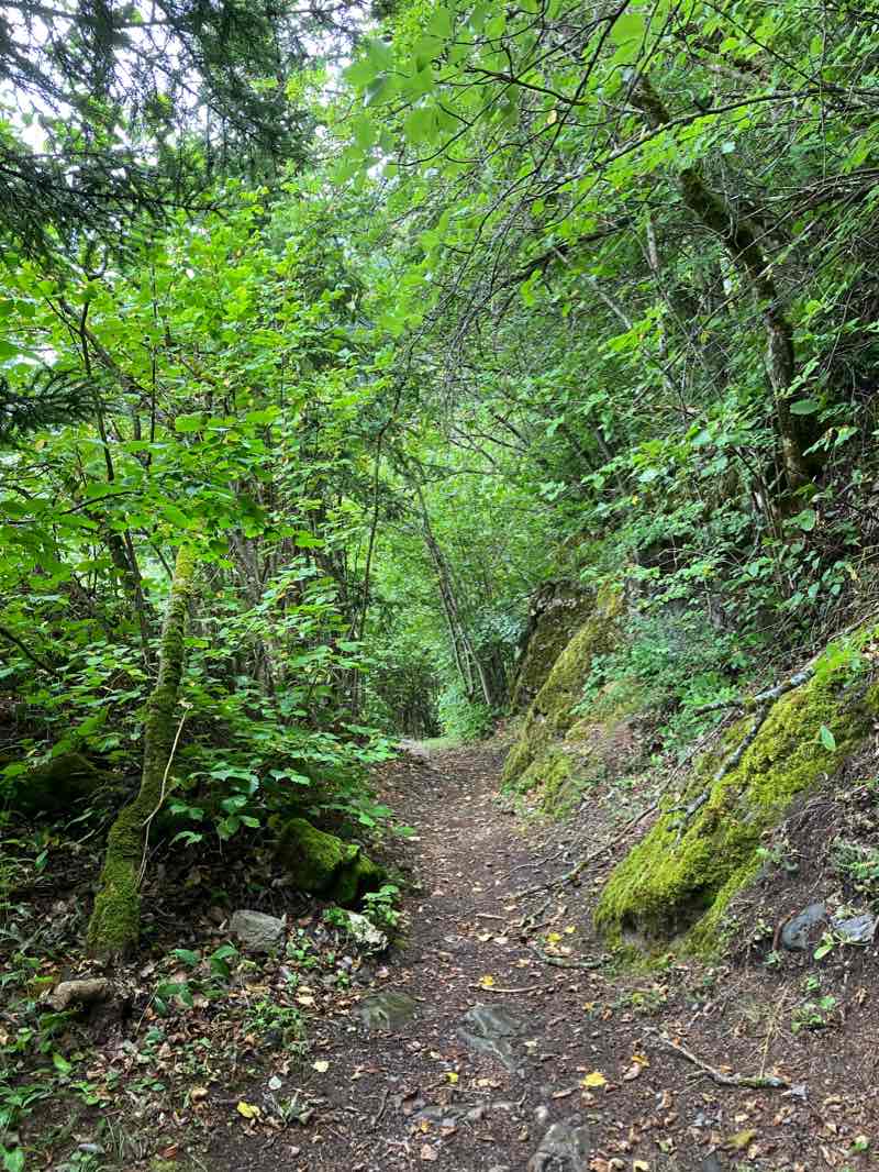 walking near me in Snowpark Erli in winter