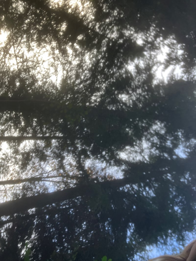 walking near me in Seeallee in winter