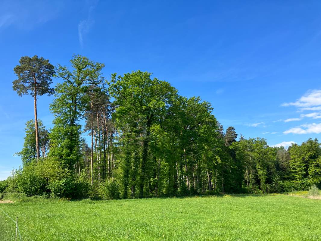 walking near me in Kocherpark in winter