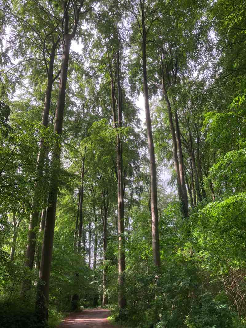 walking near me in Grünstrand in winter