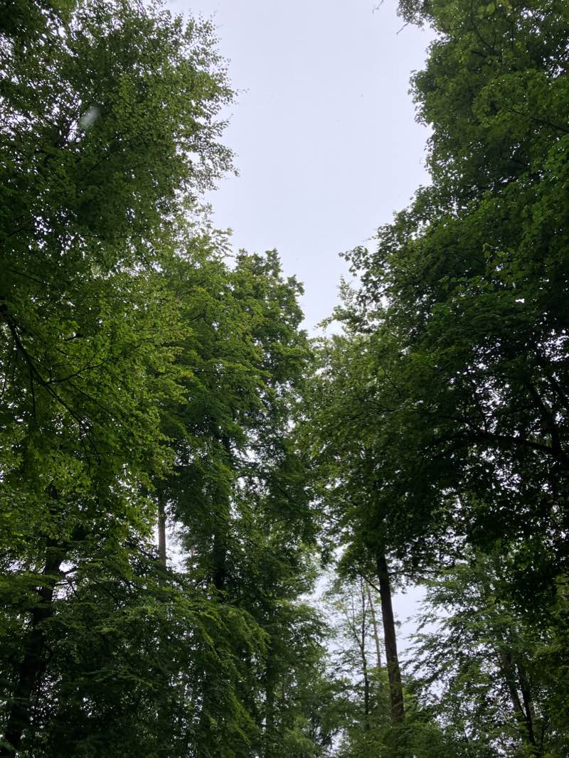 walking near me in Frohbergpark in winter