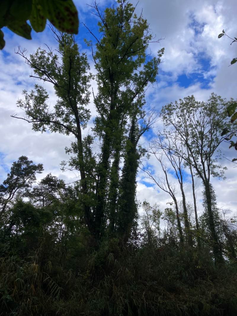 walking near me in Strandboden in winter