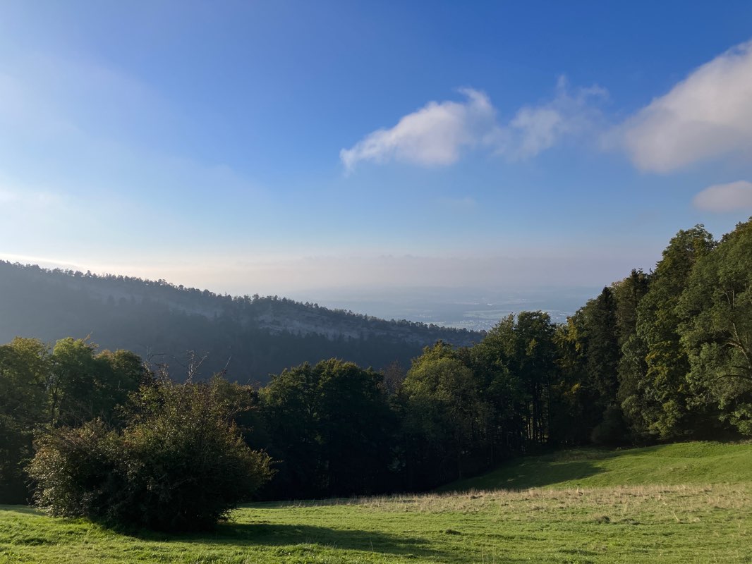 walking near me in Dellenpark in autumn