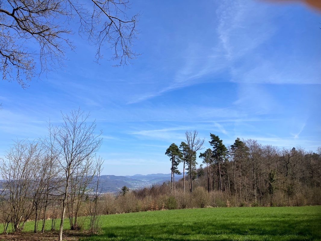 walking near me in Park Im Grünen in spring