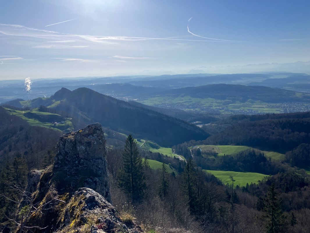 walking near me in Stadtpark in spring