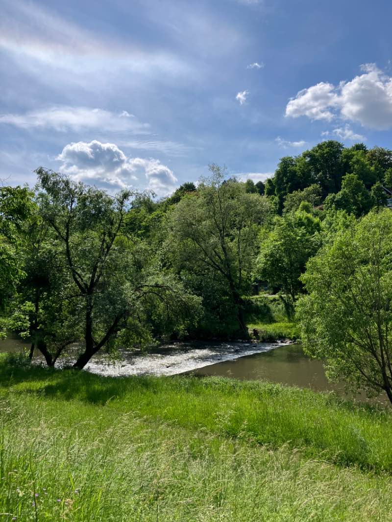 walking near me in Iselin-Weber-Park in spring
