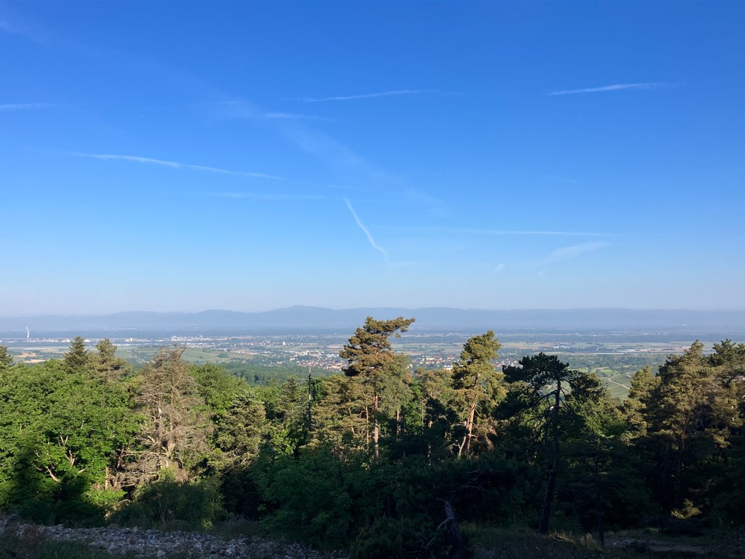walking near me in Tierpark Lange Erlen in spring